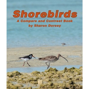 Shorebirds - (Compare and Contrast) by  Sharon Dorsey (Paperback) - 1 of 1