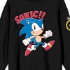 Sonic The Hedgehog Classic Walking Art with Characters on Sleeve on Black Adult Crew Neck - 2 of 3