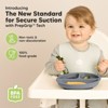 3-Pack Prep Suction Plates for Baby, 100% Silicone Toddler Plates, BPA-Free Divided Baby Plates with Suction - 2 of 4