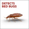 Raid Bed Bug Detector Insecticides - 8ct - 2 of 4
