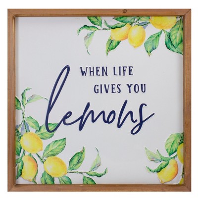 Northlight 16" Wooden Framed "When Life Gives you Lemons" Metal Sign Spring Wall Decor