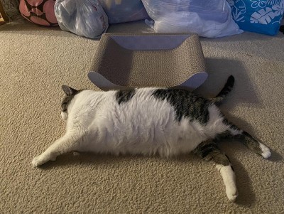 Guest review image 2 of 2, zoom in