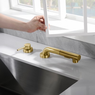 Brushed Gold Kitchen Faucet with Pull Out Sprayer and Side Handle