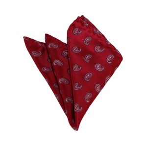TheDapperTie - Men's Paisley Woven 10 Inch x 10 Inch Pocket Squares Handkerchief - 1 of 3