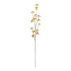 Golden Patrina Spray (Set of 12) - 2 of 3