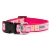 The Worthy Dog Birthday Adjustable Dog Collar - 3 of 3