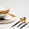 Ozarke Tigress Golden Black Plates Set - Multicolor - 2 of 4