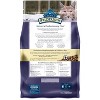 Blue Buffalo Wilderness High Protein Natural Adult Dry Cat Food Chicken Flavor - 2 of 4