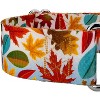 Country Brook Petz 1 1/2 Inch Martingale Dog Collar - Awesome Autumn Collection - 4 of 4