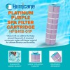 Hurricane Filters HF8418-01P Platinum Purple Spa Filter Cartridge - Replacement for Pleatco PJANCS200, Unicel C-8418 and More - 2 of 4