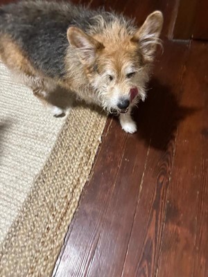 Guest review image 1 of 1, zoom in