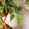 4FT/5FT/6FT Artificial Banyan Tree - Fake Silk Plant with White Flower Pot for Indoor/Outdoor Home Decor - 4 of 4