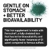 NatureWise Vegan Iron Supplement for Women & Men - Coated Iron Bisglycinate Tablets + Vitamin C, Methyl B12, Folate & Organic Food Blend - 3 of 4