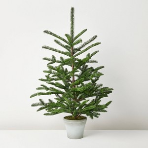 Potted Spruce Artificial Tree - Hearth & Hand™ with Magnolia - 1 of 4