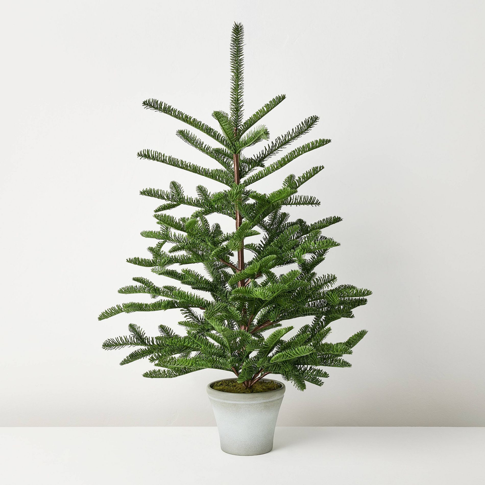 42" Potted Spruce Artificial Tree - Hearth & Hand™ with Magnolia