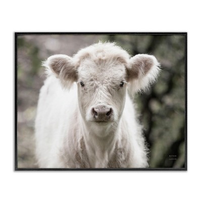 Stupell Industries White Cow Calf Portrait Black Framed Giclee Art