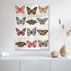 Butterfly Love Gallery-Wrapped Canvas - 2 of 3