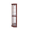 Coaster Appledale Traditional 6 Shelf Corner Curio Cabinet with Glass Doors Medium Brown - image 4 of 4