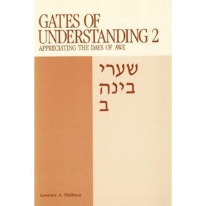 Gates of Understanding - by  Lawrence A Rabbi Hoffman & Chaim Stern & A Stanley Dreyfus (Paperback) - 1 of 1