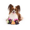 BARK Afraid of the Bark Halloween Screech and Squeak Animal Plush Dog Toy - 4 of 4