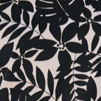 black palm