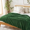 Inhand Flannel Throw Blanket, 50”x60” Super Soft Fuzzy Blanket for Couch Sofa Bed Office, Cozy Plush Lightweight Blanket Throw Size - 4 of 4