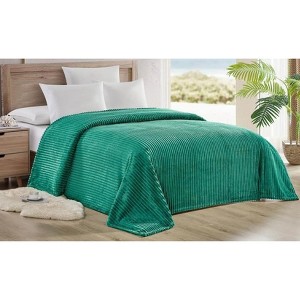 Noble House Ribbed Corduroy Extra Plush & Comfy All-Season Blanket - 1 of 2
