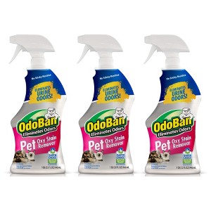 OdoBan Pet Solutions Oxy Stain Remover, Pet Stain Eliminator, 32 Ounce Spray - 1 of 2