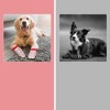 Unique Bargains Dog Disposable Foot Covers 6 Set 24 Pcs - 3 of 4