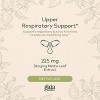 Gaia Herbs Nettle Leaf - Immune, Respiratory, and Sinus Support Supplement - 60 Vegan Liquid Phyto-Capsules - 3 of 4