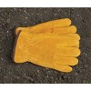 Do it Best Do it Men's XL Lined Leather Winter Work Glove 746811 - 2 of 4