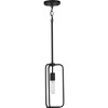 Progress Lighting, Bonn Collection, 1-Light Mini-Pendant, Matte Black, Open-Cage Design, Steel - 3 of 3
