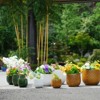 VisioGear 3PCS Ceramic Flowerpot, Modern Planter for Patio, Garden, Windowsill, Matte White, 9.5"*9.5"*8.1" - 2 of 4