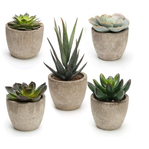 Mpm Artificial Succulent Plants Potted, Assorted Decorative Faux Succulent  Potted Fake Cactus Cacti Plants With Pots, For Office, Living Room Set Of 5  : Target