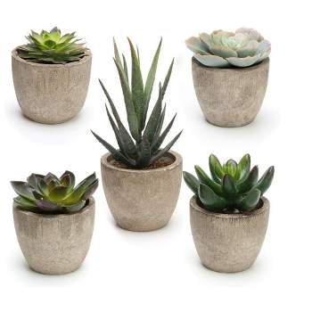MPM Artificial Succulent Plants Potted, Assorted Decorative Faux Succulent Potted Fake Cactus Cacti Plants with Pots, for Office, Living Room Set of 5