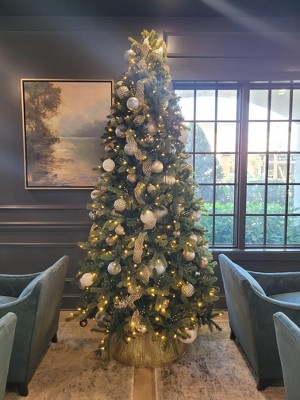 Guest review image 1 of 1, zoom in