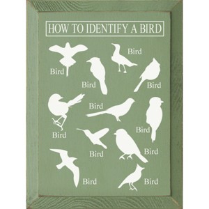 Slickblue Bird Guide Wooden Sign, Knotty Pine 9x12 Inch Wall Decor, Rustic Style, Color Options - 1 of 3