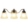 3 Light Curved Metal and Alabaster White Glass Shade Vanity Wall Light Fixture - Lalia Home - 3 of 4