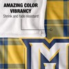Marquette University Campus Plaid Spirit Silky Touch Super Soft Throw Blanket 50x60 - 4 of 4
