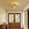 Ludomide 12" Boho Hallway Chandelier, Hand-Woven Flush Mount Boho Chandelier, Farmhouse Rattan Ceiling Light Fixture for Hallway - 2 of 4