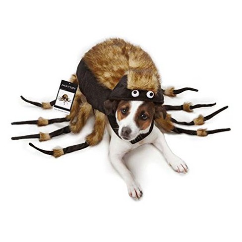 Spider costume for small dog sales