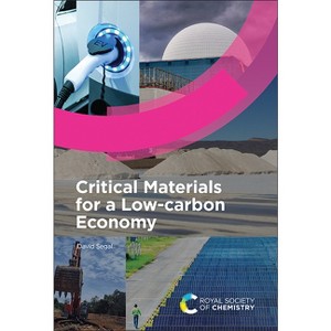 Critical Materials for a Low-Carbon Economy - by  David Segal (Hardcover) - 1 of 1