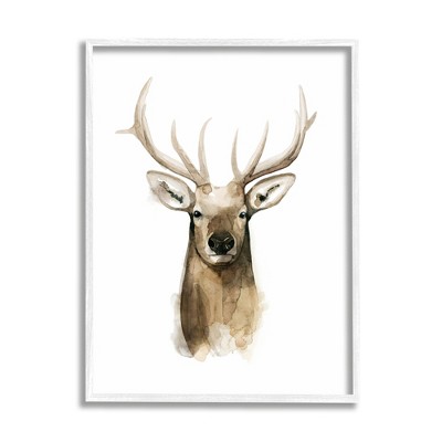 Stupell Industries Deer Portrait Watercolor Framed Giclee Art