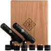 Soyuz Microphones 013 FET-MAC-B Matched Pair Small Diaphragm FET Microphones Black Finish (cardioid, omni and hypercardioid capsules, 10dB pad) - 3 of 4