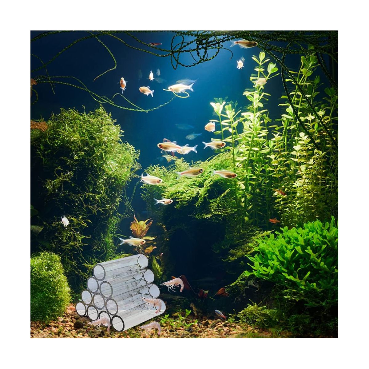 Aquarium Acrylic Crystal Shelter House Transparent Acrylic Breeding Tube Shrimp Fish Hide Cave House Breeding Tube Hiding Cave Pipes Reduce Stress - thumbnail 3