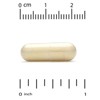 Super Nutrition Vein Support with Diosmin, Butcher's Broom, Horse Chestnut, Bioflavonoids and Enzymes, 250 Veggie Capsules - 3 of 4
