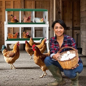GustoWave  Chicken Nesting Box Nesting Boxes - 1 of 4