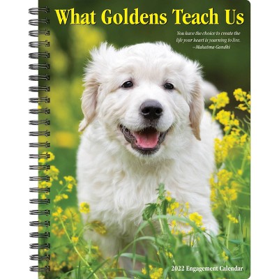 2022 Engagement Calendar What Goldens Teach Us - Willow Creek Press