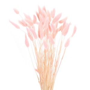 Unique Bargains Natural Dried Floral Bunny Tail Artificial Plants 60 Pcs - 1 of 4