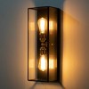 C Cattleya 2-Light Brass Outdoor Wall Lantern with Dark Bronze Finsh - 3 of 4